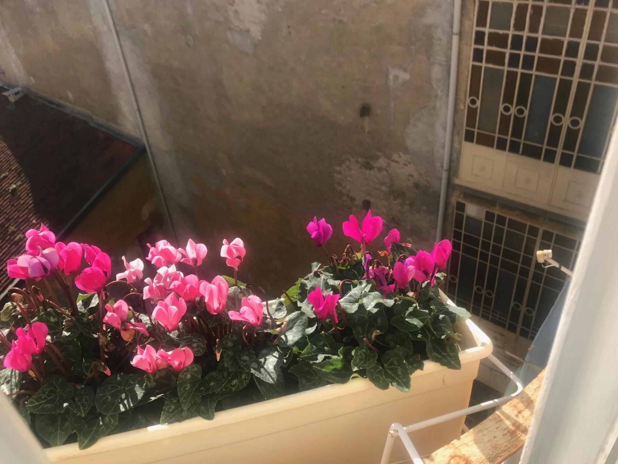A Due Passi Dal Duomo Hotel Биела Екстериор снимка